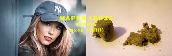 крисы Каменногорск