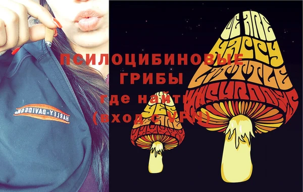 первитин Алексеевка