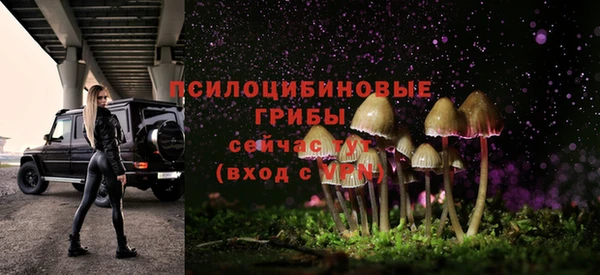 дурь Алексин