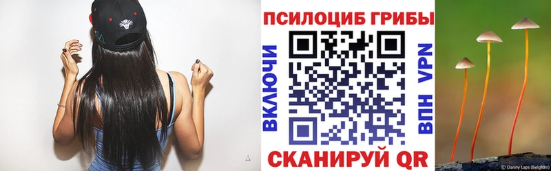 Галлюциногенные грибы Psilocybe  как найти наркотики  Лабытнанги 