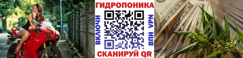 Конопля сатива  закладки  Лабытнанги 
